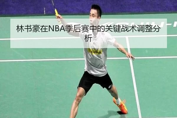 林书豪在NBA季后赛中的关键战术调整分析